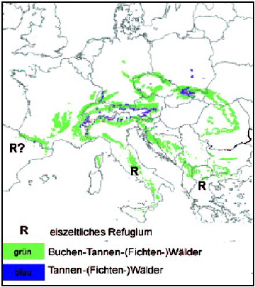 Natürliche Verbreitung tannenreicher Wälder in Europa